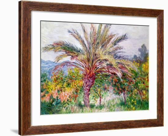 Palm Tree at Bordighera, C.1884-Claude Monet-Framed Giclee Print