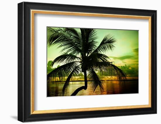 Palm Tree at Sunset - Florida-Philippe Hugonnard-Framed Photographic Print