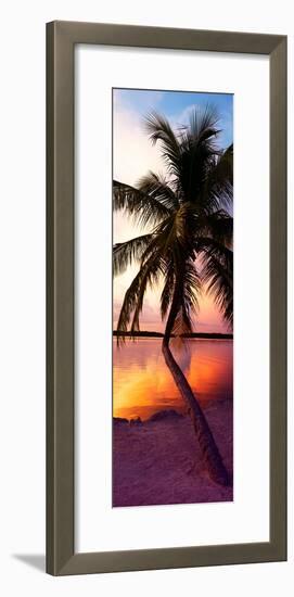 Palm Tree at Sunset - Florida-Philippe Hugonnard-Framed Photographic Print