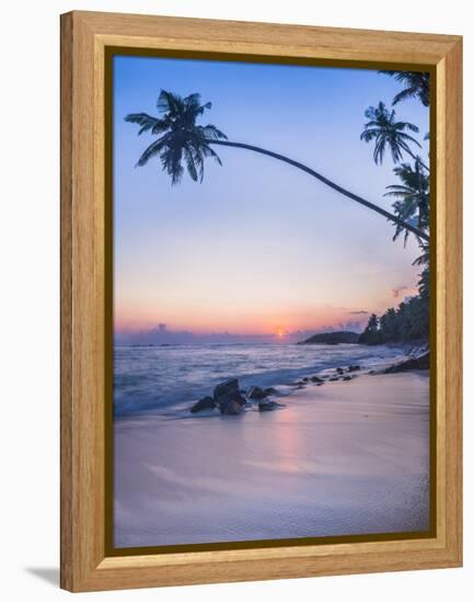 Palm Tree at Sunset on Tropical Mirissa Beach-Matthew Williams-Ellis-Framed Premier Image Canvas