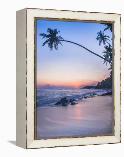 Palm Tree at Sunset on Tropical Mirissa Beach-Matthew Williams-Ellis-Framed Premier Image Canvas