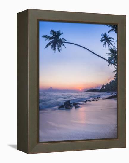 Palm Tree at Sunset on Tropical Mirissa Beach-Matthew Williams-Ellis-Framed Premier Image Canvas