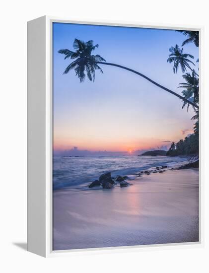 Palm Tree at Sunset on Tropical Mirissa Beach-Matthew Williams-Ellis-Framed Premier Image Canvas