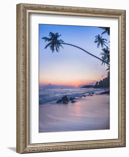 Palm Tree at Sunset on Tropical Mirissa Beach-Matthew Williams-Ellis-Framed Photographic Print