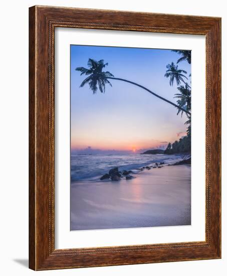 Palm Tree at Sunset on Tropical Mirissa Beach-Matthew Williams-Ellis-Framed Photographic Print