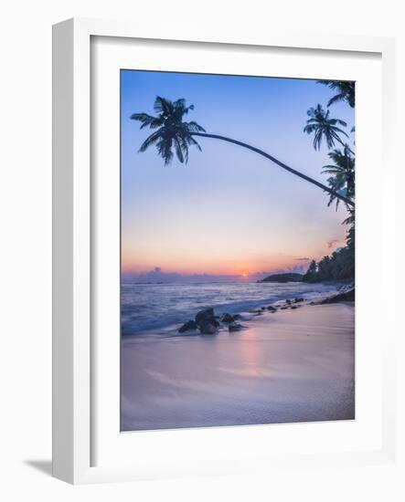 Palm Tree at Sunset on Tropical Mirissa Beach-Matthew Williams-Ellis-Framed Photographic Print