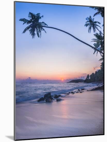 Palm Tree at Sunset on Tropical Mirissa Beach-Matthew Williams-Ellis-Mounted Photographic Print