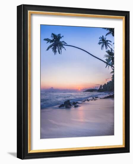 Palm Tree at Sunset on Tropical Mirissa Beach-Matthew Williams-Ellis-Framed Photographic Print