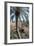 Palm Tree Below Lion of Babylon, Iraq, 1977-Vivienne Sharp-Framed Photographic Print