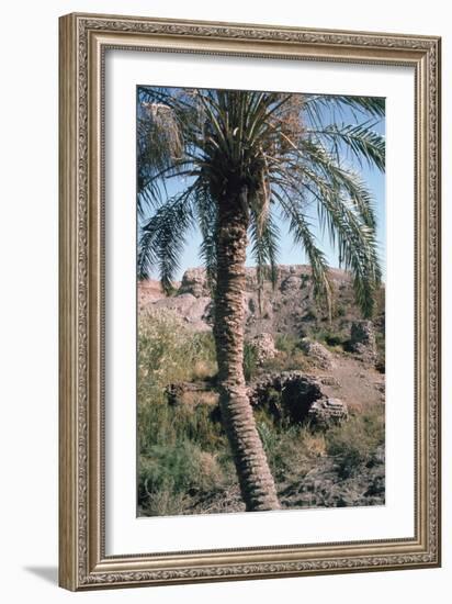 Palm Tree Below Lion of Babylon, Iraq, 1977-Vivienne Sharp-Framed Photographic Print