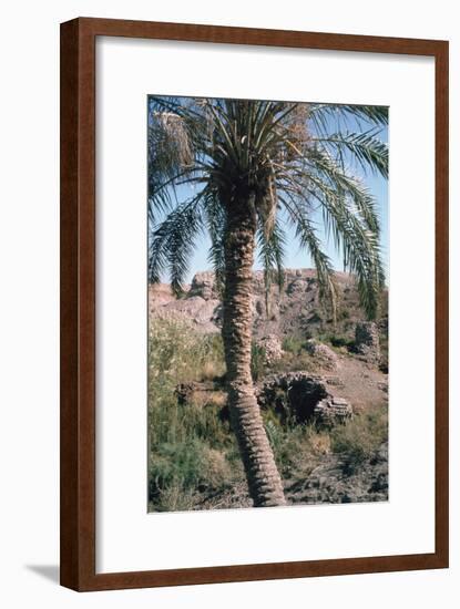 Palm Tree Below Lion of Babylon, Iraq, 1977-Vivienne Sharp-Framed Photographic Print