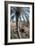 Palm Tree Below Lion of Babylon, Iraq, 1977-Vivienne Sharp-Framed Photographic Print