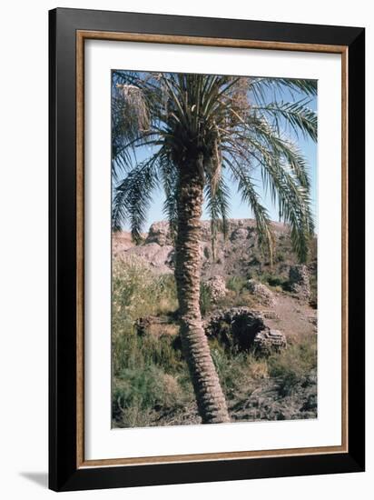 Palm Tree Below Lion of Babylon, Iraq, 1977-Vivienne Sharp-Framed Photographic Print