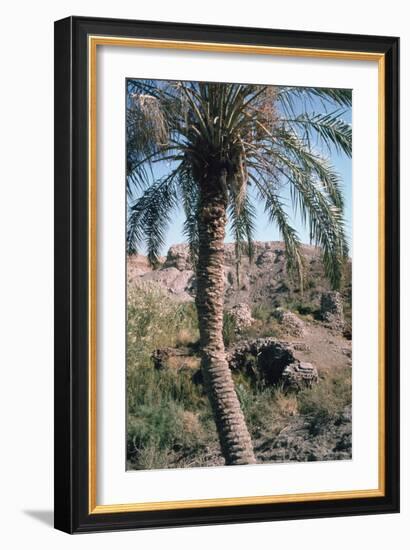 Palm Tree Below Lion of Babylon, Iraq, 1977-Vivienne Sharp-Framed Photographic Print