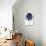 Palm Tree Blue I-Devon Davis-Premium Giclee Print displayed on a wall