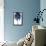 Palm Tree Blue I-Devon Davis-Framed Stretched Canvas displayed on a wall