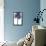 Palm Tree Blue III-Devon Davis-Framed Stretched Canvas displayed on a wall