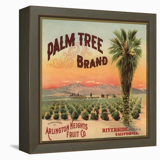 Palm Tree Brand - Riverside, California - Citrus Crate Label-Lantern Press-Framed Stretched Canvas