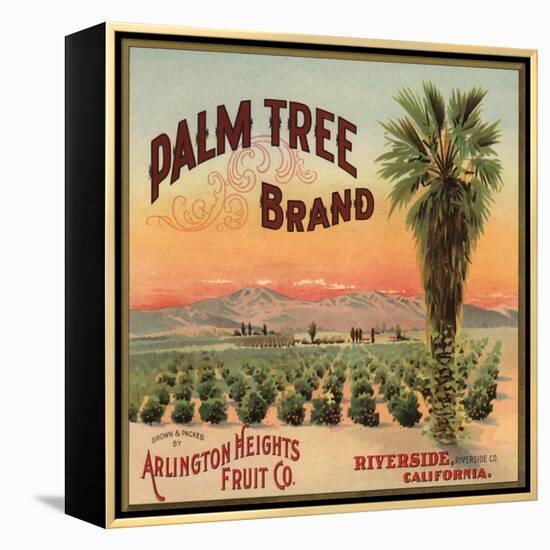 Palm Tree Brand - Riverside, California - Citrus Crate Label-Lantern Press-Framed Stretched Canvas