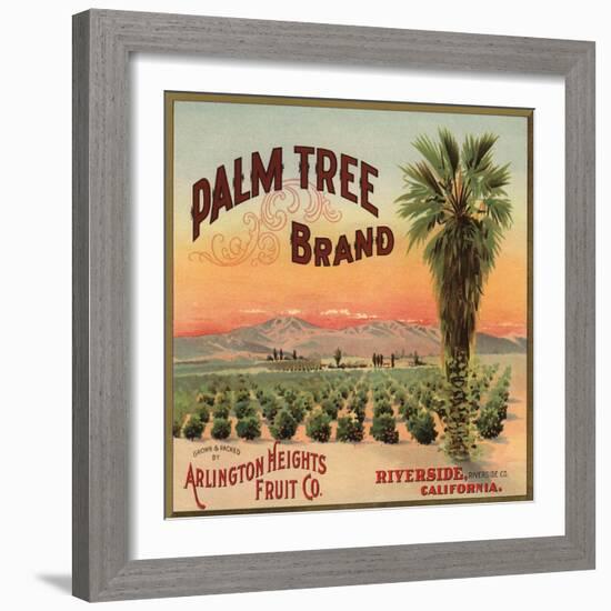 Palm Tree Brand - Riverside, California - Citrus Crate Label-Lantern Press-Framed Art Print