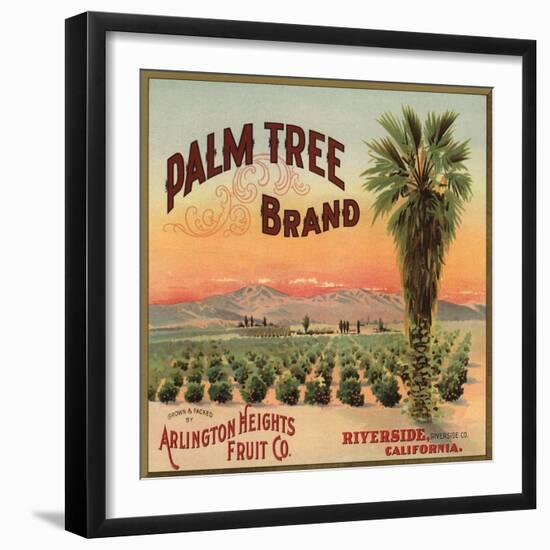 Palm Tree Brand - Riverside, California - Citrus Crate Label-Lantern Press-Framed Art Print