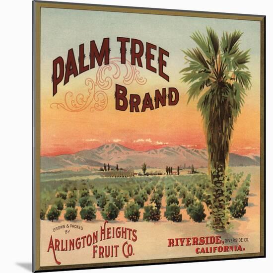 Palm Tree Brand - Riverside, California - Citrus Crate Label-Lantern Press-Mounted Art Print