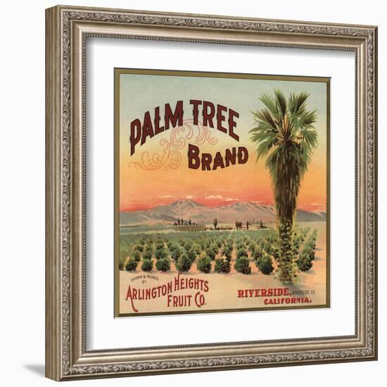 Palm Tree Brand - Riverside, California - Citrus Crate Label-Lantern Press-Framed Art Print