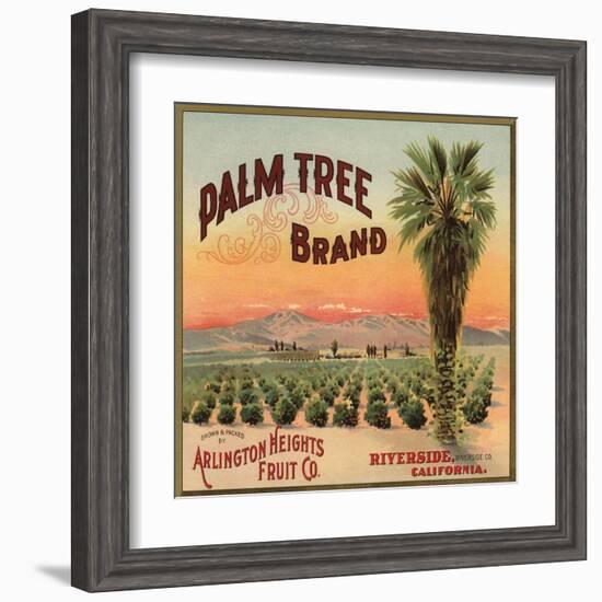 Palm Tree Brand - Riverside, California - Citrus Crate Label-Lantern Press-Framed Art Print