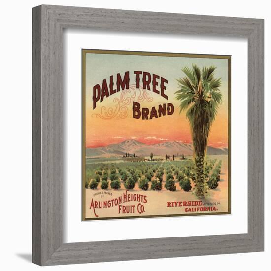 Palm Tree Brand - Riverside, California - Citrus Crate Label-Lantern Press-Framed Art Print