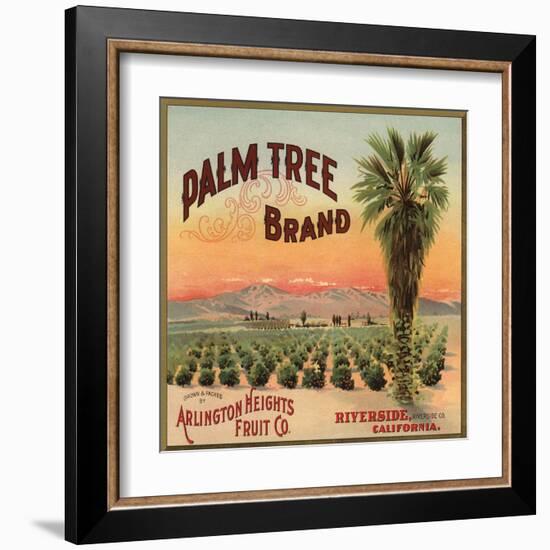 Palm Tree Brand - Riverside, California - Citrus Crate Label-Lantern Press-Framed Art Print