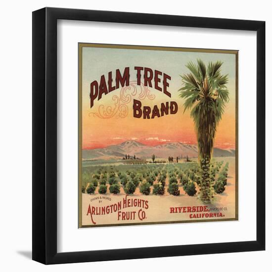 Palm Tree Brand - Riverside, California - Citrus Crate Label-Lantern Press-Framed Art Print