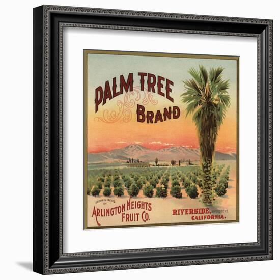 Palm Tree Brand - Riverside, California - Citrus Crate Label-Lantern Press-Framed Art Print