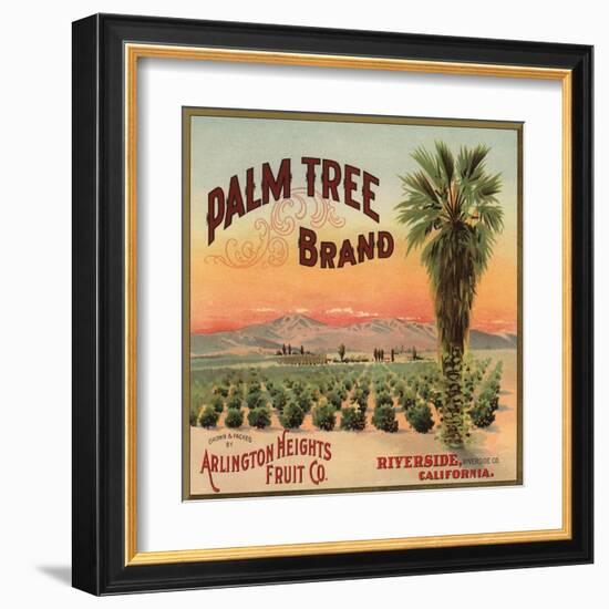 Palm Tree Brand - Riverside, California - Citrus Crate Label-Lantern Press-Framed Art Print