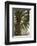 Palm tree from below. Oman.-Tom Norring-Framed Photographic Print