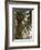 Palm tree from below. Oman.-Tom Norring-Framed Photographic Print