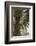 Palm tree from below. Oman.-Tom Norring-Framed Photographic Print