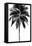 Palm Tree I-Devon Davis-Framed Stretched Canvas