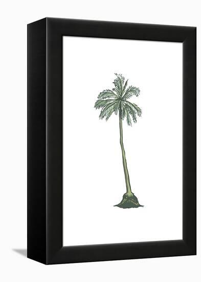 Palm Tree - Icon-Lantern Press-Framed Stretched Canvas