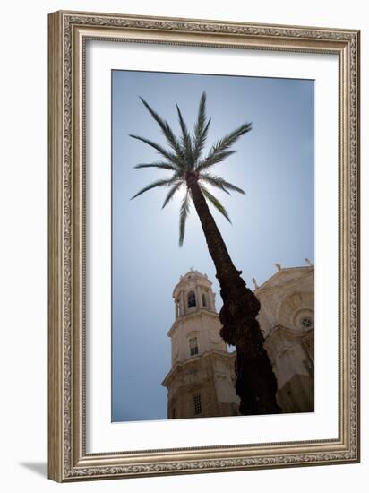 Palm Tree in Cadiz-Felipe Rodriguez-Framed Photographic Print