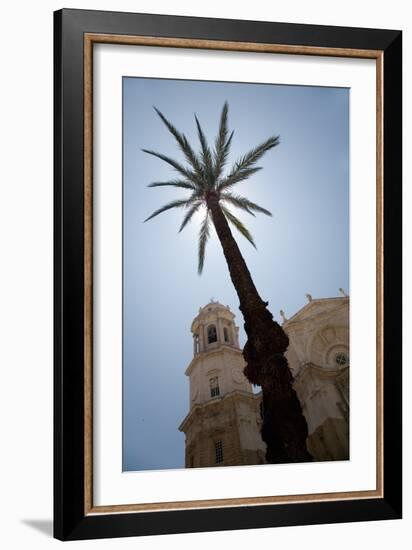 Palm Tree in Cadiz-Felipe Rodriguez-Framed Photographic Print