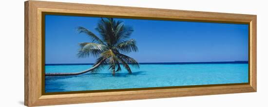 Palm Tree in the Sea, Maldives-null-Framed Premier Image Canvas