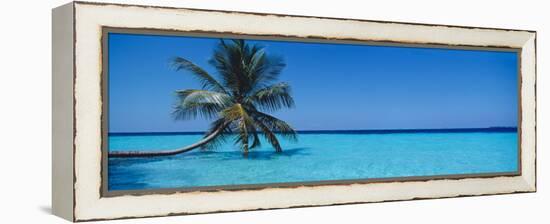 Palm Tree in the Sea, Maldives-null-Framed Premier Image Canvas