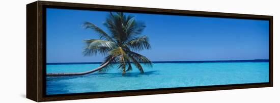 Palm Tree in the Sea, Maldives-null-Framed Premier Image Canvas