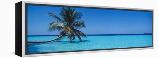 Palm Tree in the Sea, Maldives-null-Framed Premier Image Canvas