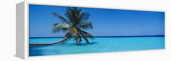 Palm Tree in the Sea, Maldives-null-Framed Premier Image Canvas