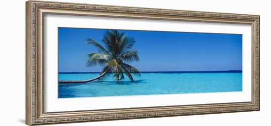 Palm Tree in the Sea, Maldives-null-Framed Photographic Print