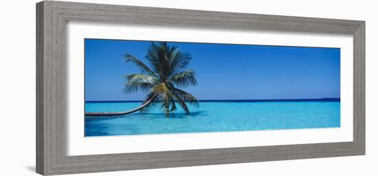 Palm Tree in the Sea, Maldives-null-Framed Photographic Print