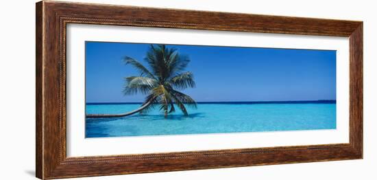 Palm Tree in the Sea, Maldives-null-Framed Photographic Print