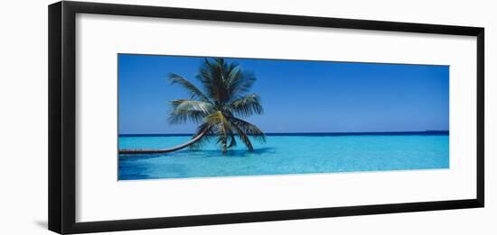 Palm Tree in the Sea, Maldives-null-Framed Photographic Print