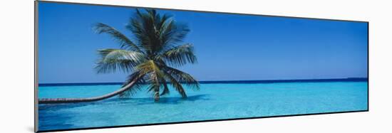 Palm Tree in the Sea, Maldives-null-Mounted Photographic Print